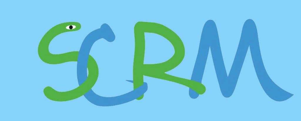 《什么是SaaS級SCRM？大小企業為何紛紛嘗試？》